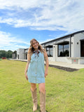 Denim Button up Dress